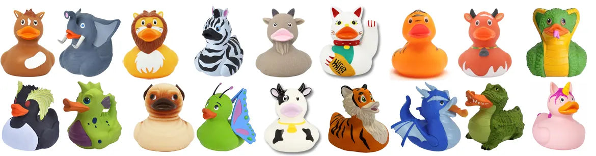Animal Ducks