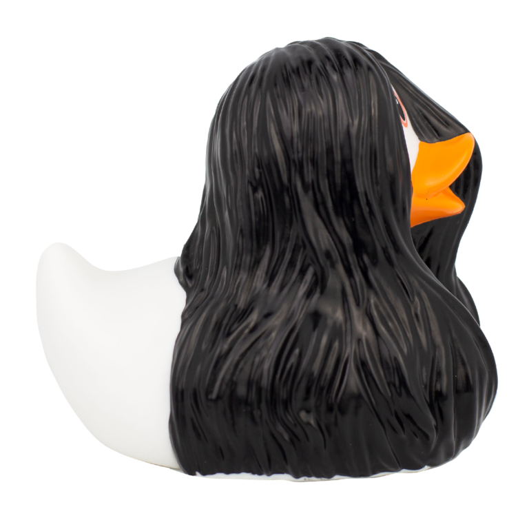Mystic Rubber Duck