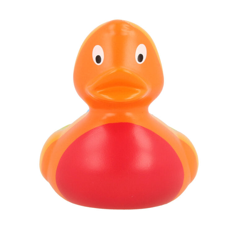 Rainbow Rubber Duck