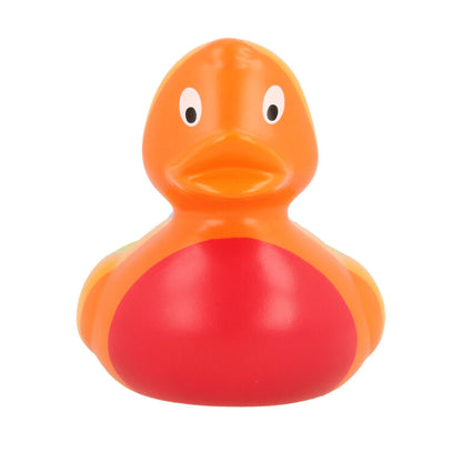 Rainbow Rubber Duck